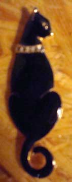 Black cat broach