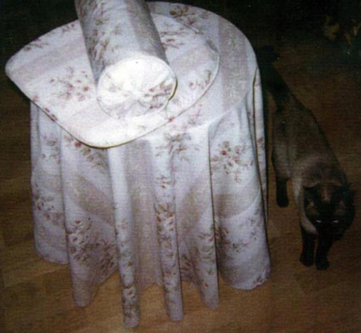 tablecloth