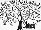 shimer_three
