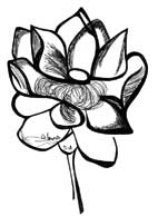 lotus
