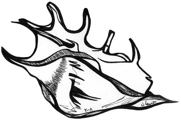 shell