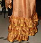 Sari outfit skirt
