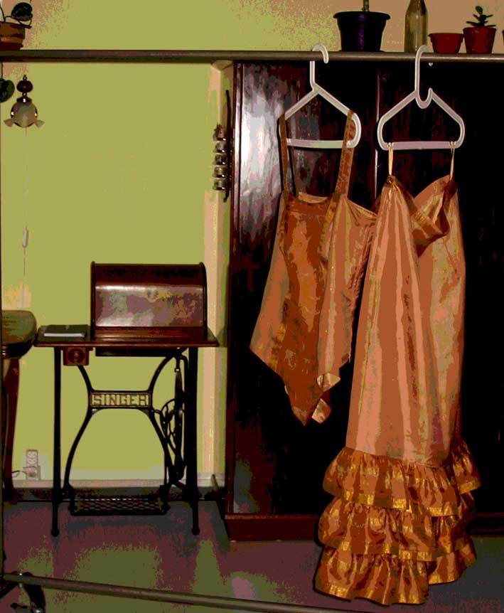 Sari outfit