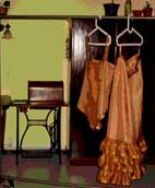 Sari outfit